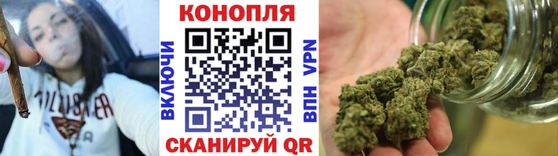 Бошки марихуана конопля  Андреаполь 